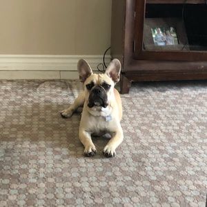 Meet your Posher, Tabetha